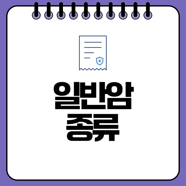 일반암종류