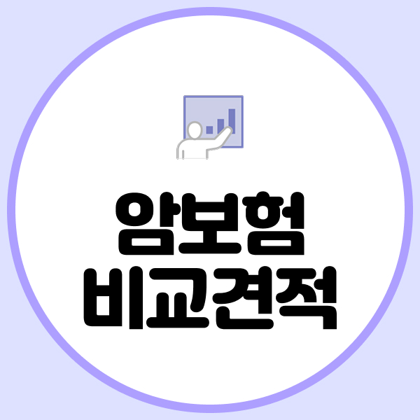 암보험비교견적