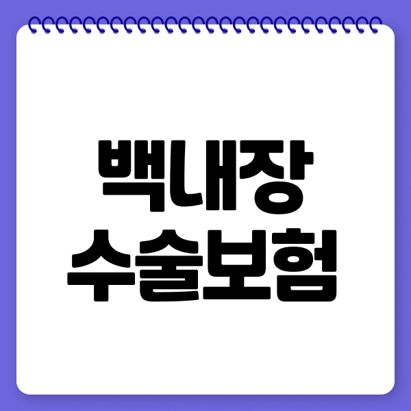 백내장수술보험
