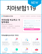 치아보험119