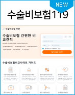 수술비보험119