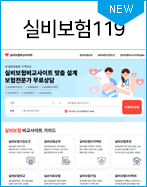 실비보험119