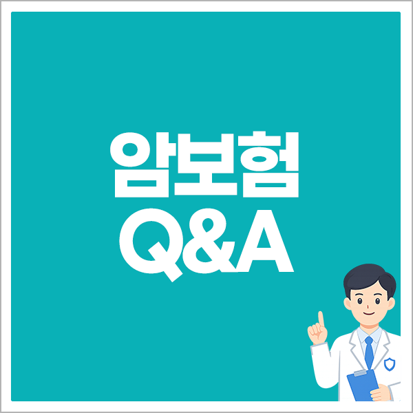 암보험Q&A