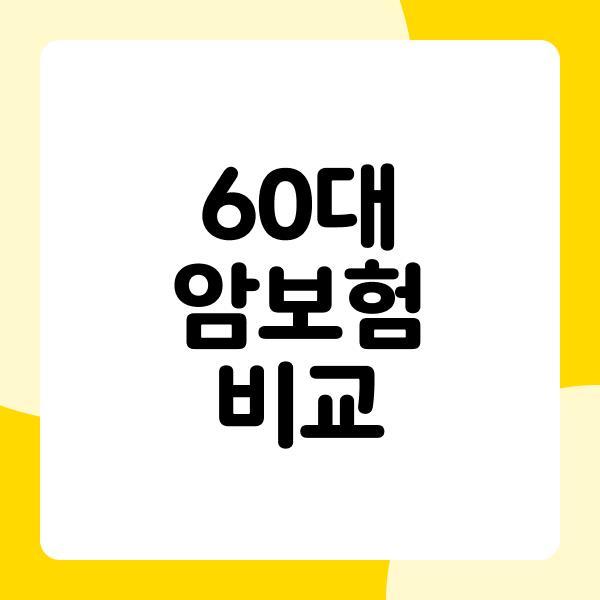 60대 암보험 비교