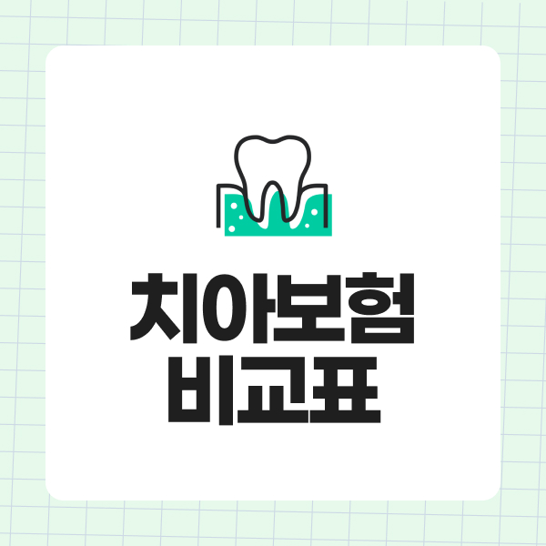 치아보험비교표