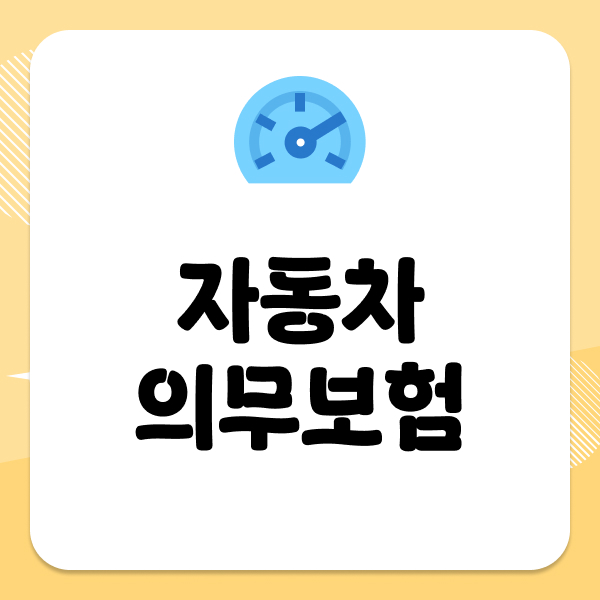 자동차의무보험