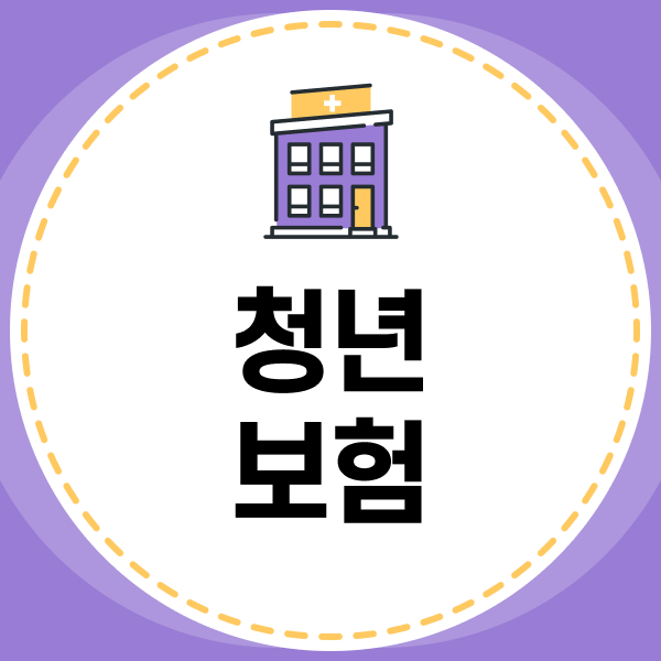 청년보험