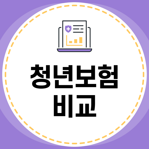 청년보험비교