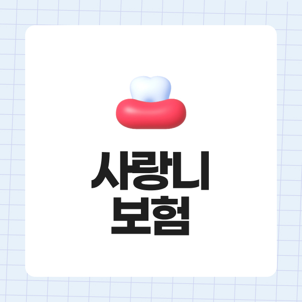 사랑니보험