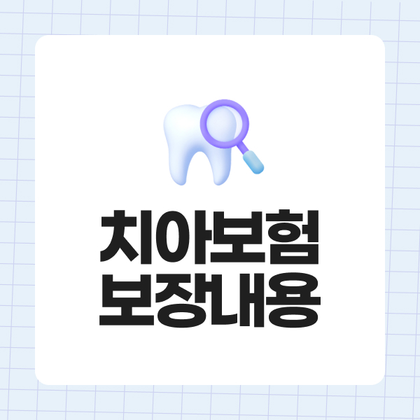치아보험보장내용