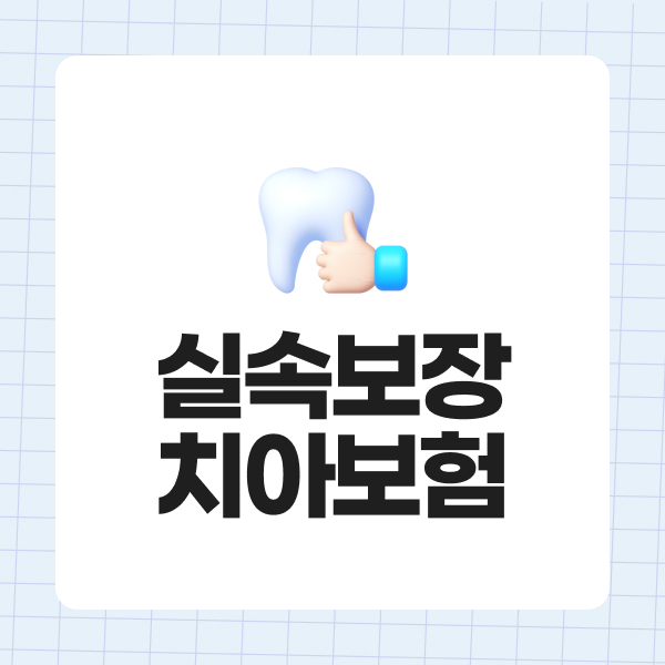 실속보장치아보험