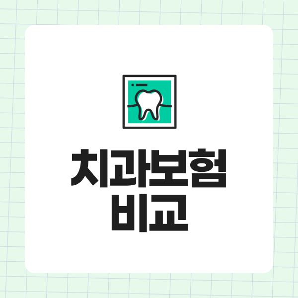 치과보험비교