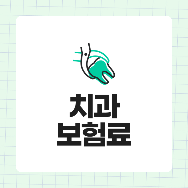 치과보험료
