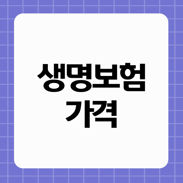 생명보험가격