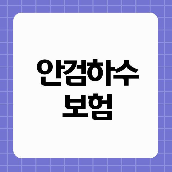안검하수보험