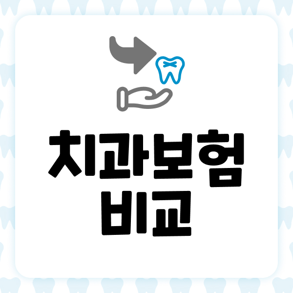 치과보험비교