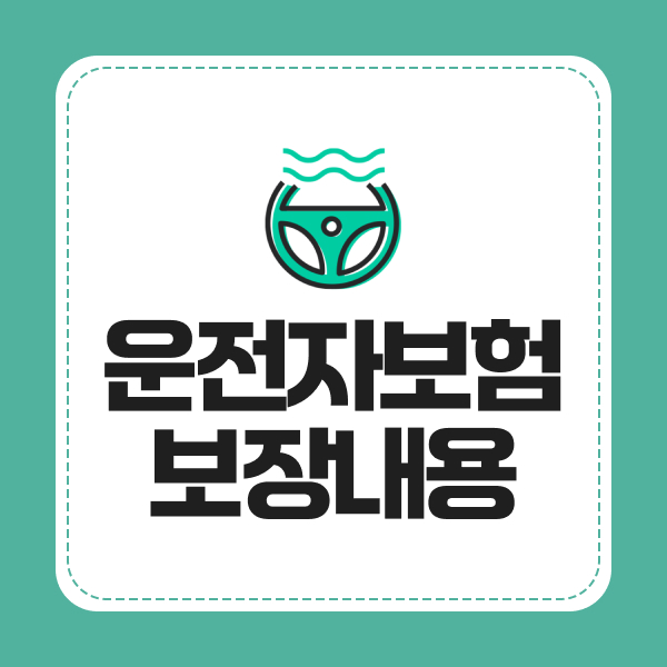 운전자보험보장내용