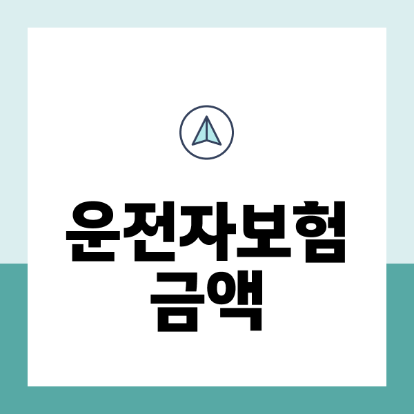운전자보험금액