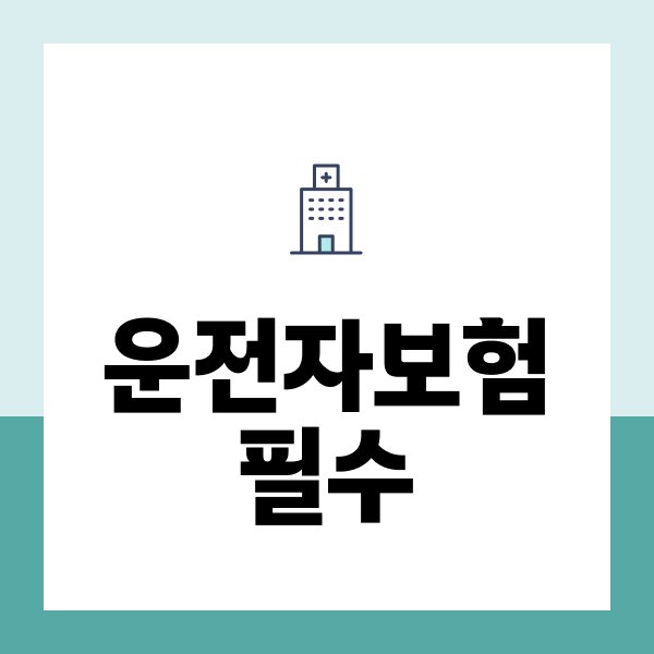 운전자보험필수