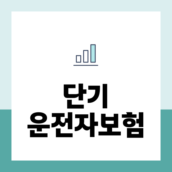단기운전자보험