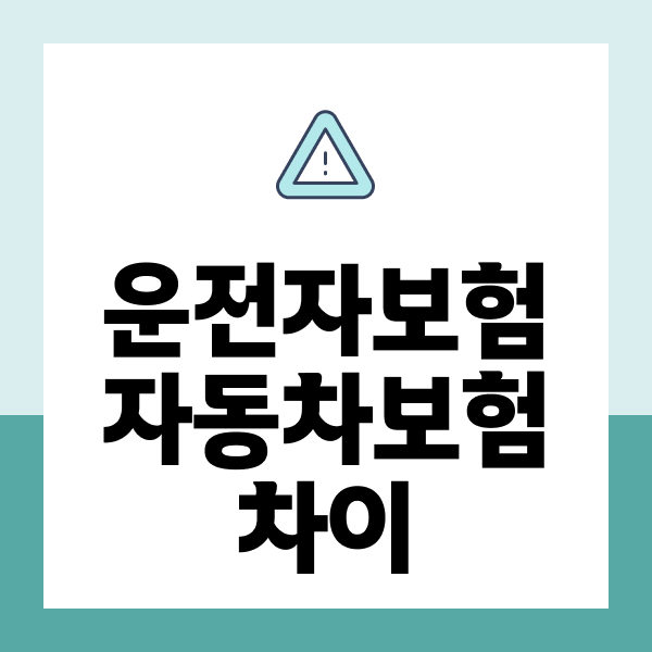 운전자보험자동차보험차이