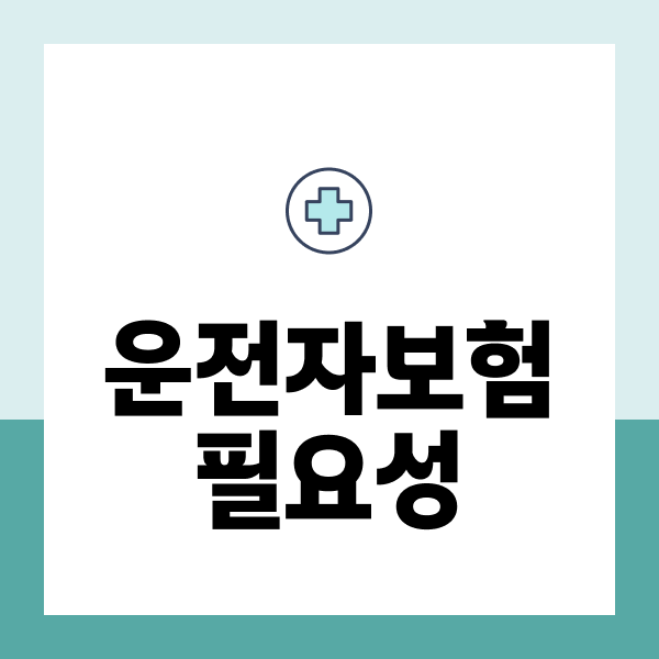 운전자보험필요성