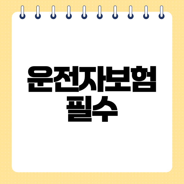 운전자보험필수