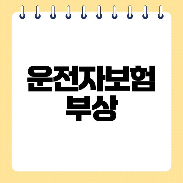 운전자보험자부상