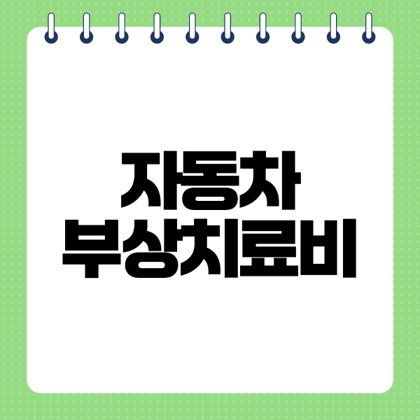 자동차부상치료비