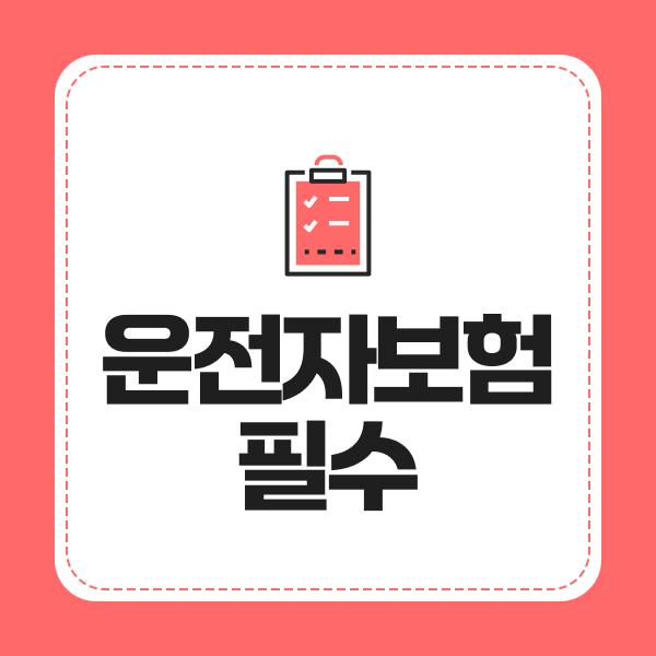 운전자보험필수