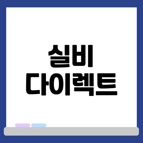 실비다이렉트