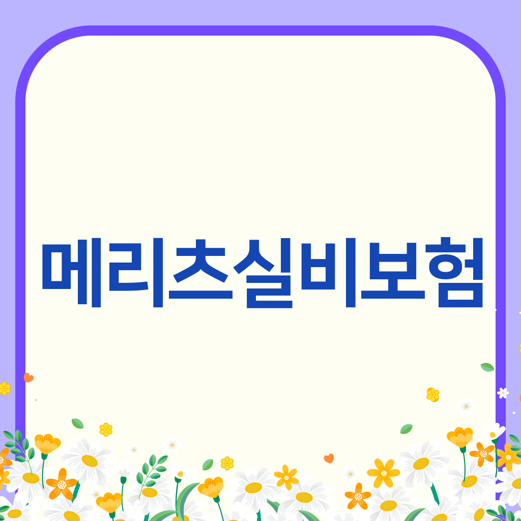 메리츠실비보험