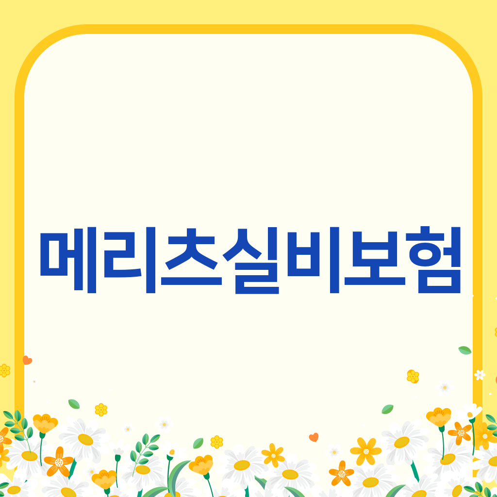 메리츠실비보험