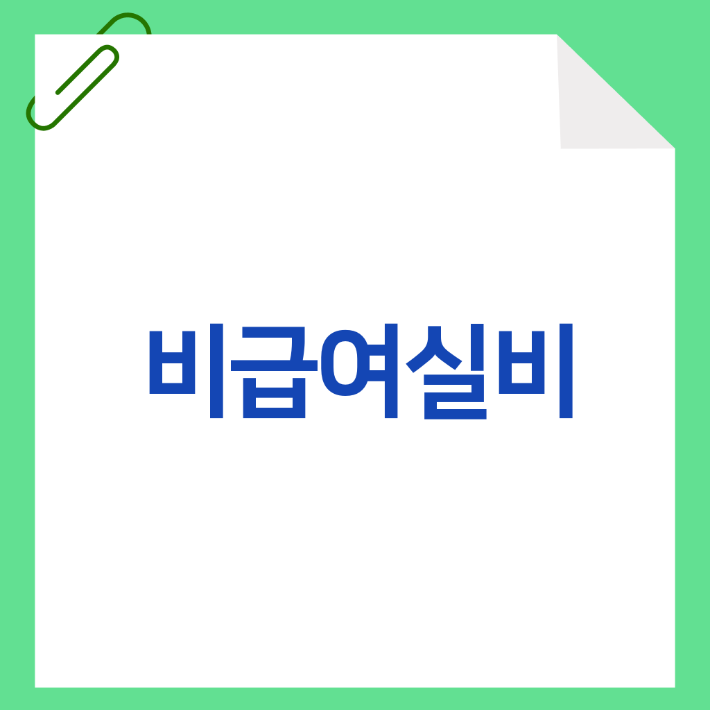 비급여실비