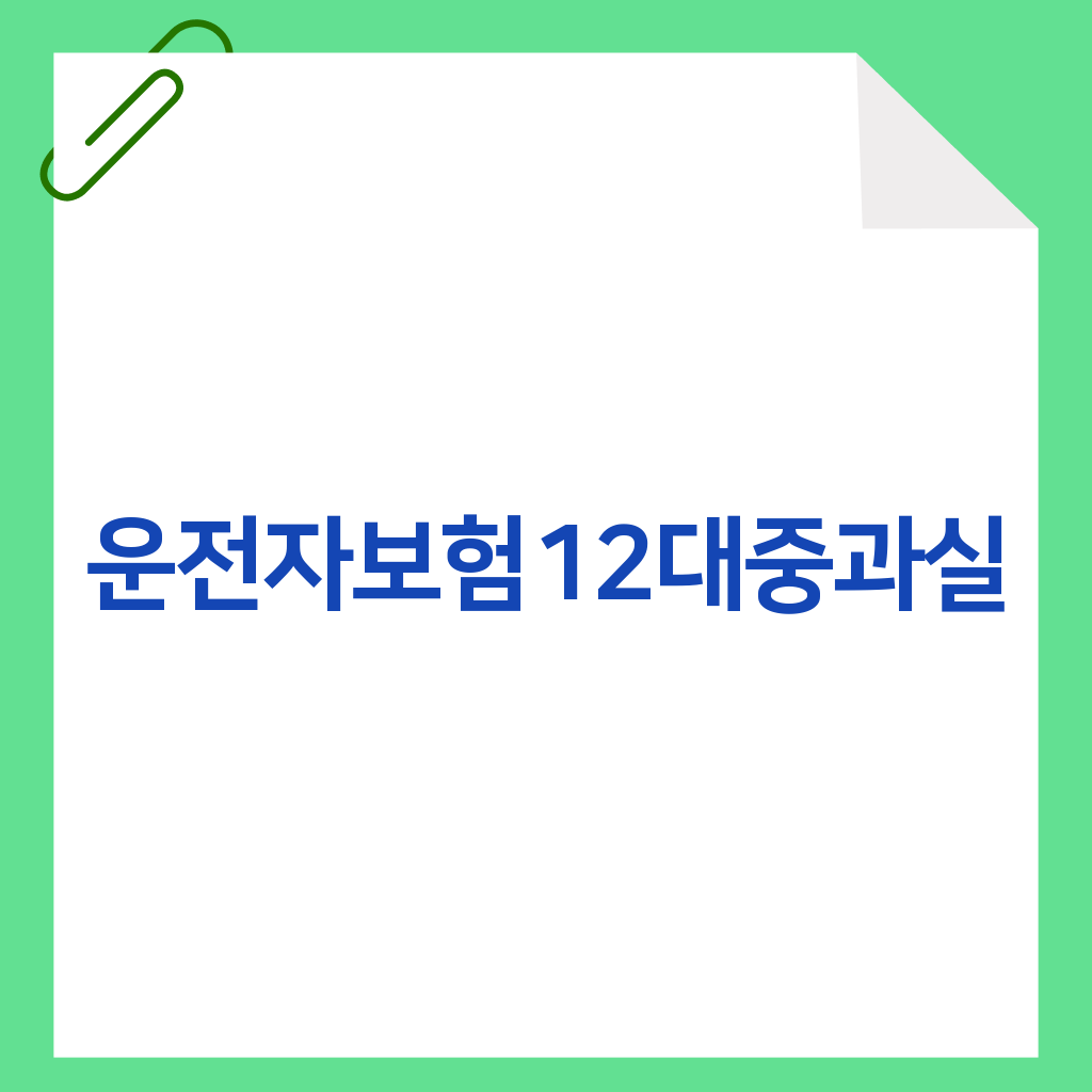 운전자보험12대중과실