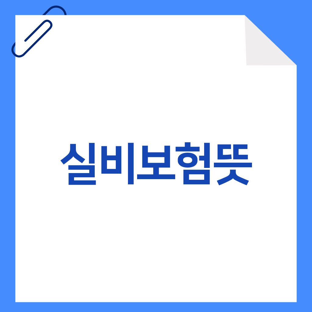 실비보험뜻