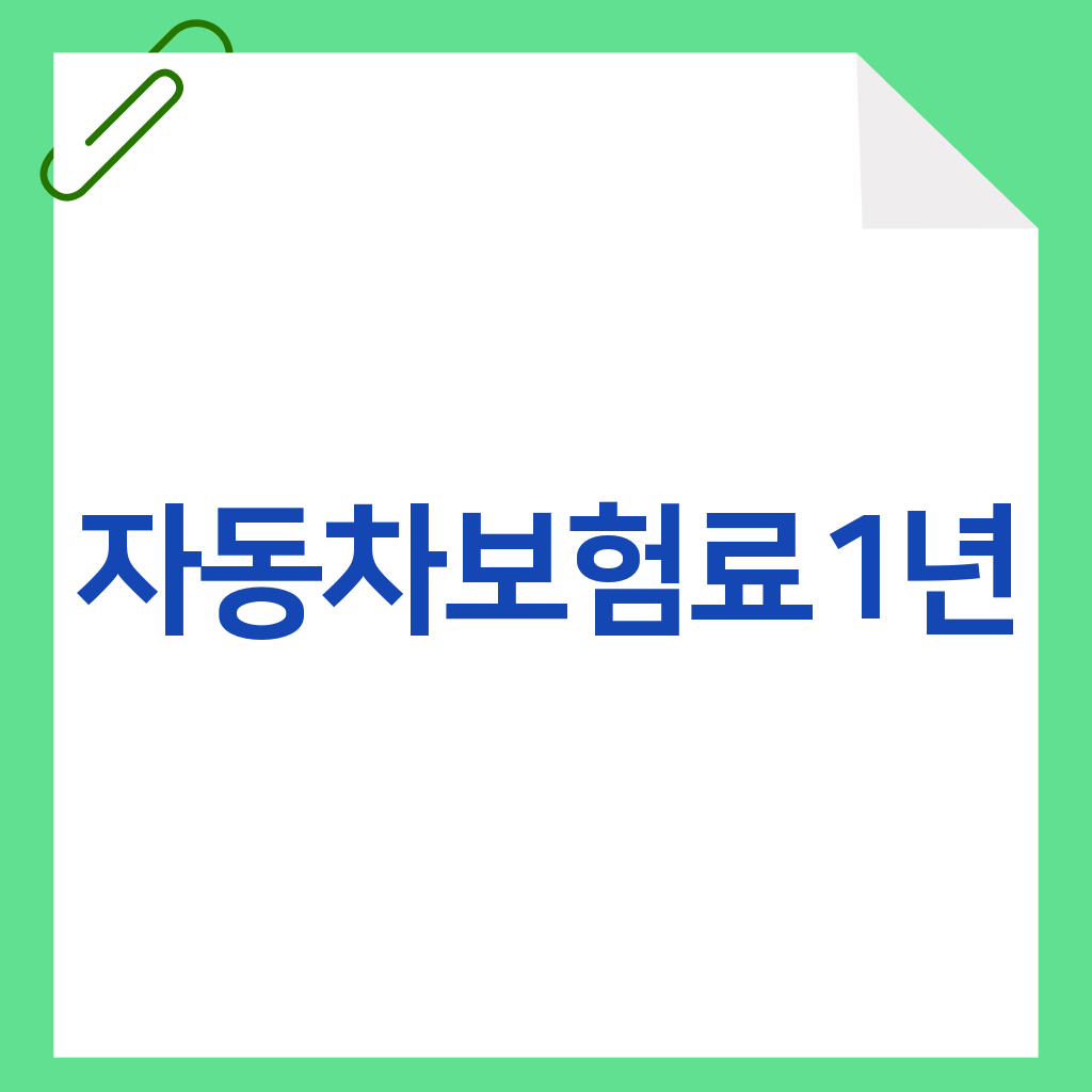 자동차보험료1년
