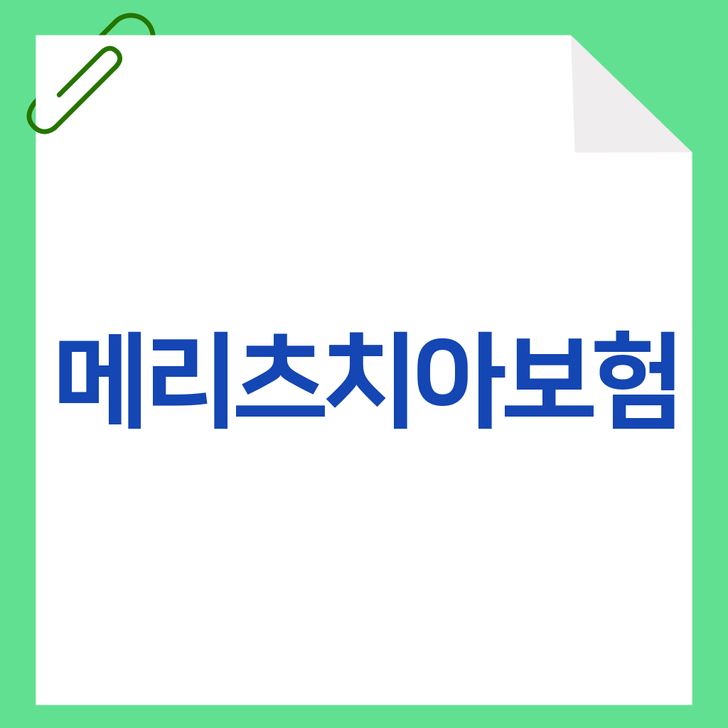 메리츠치아보험