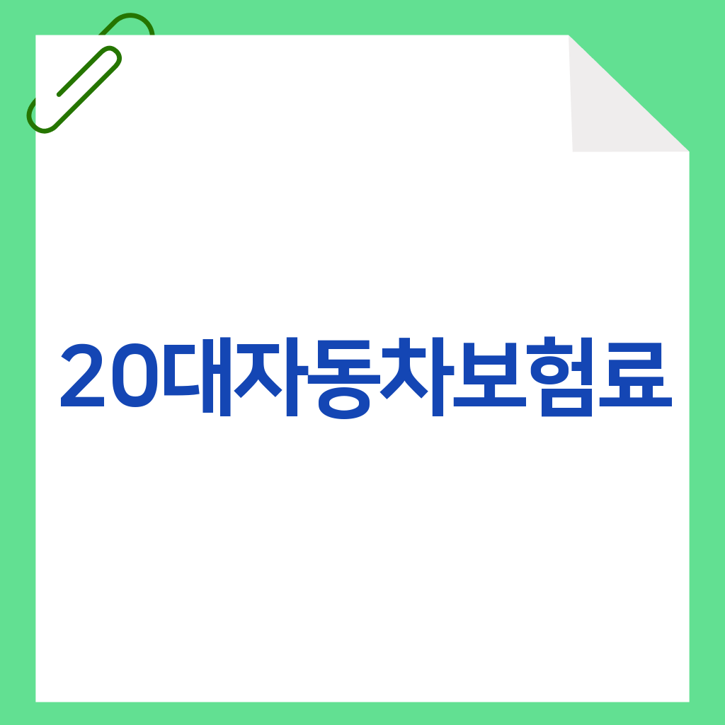 20대자동차보험료