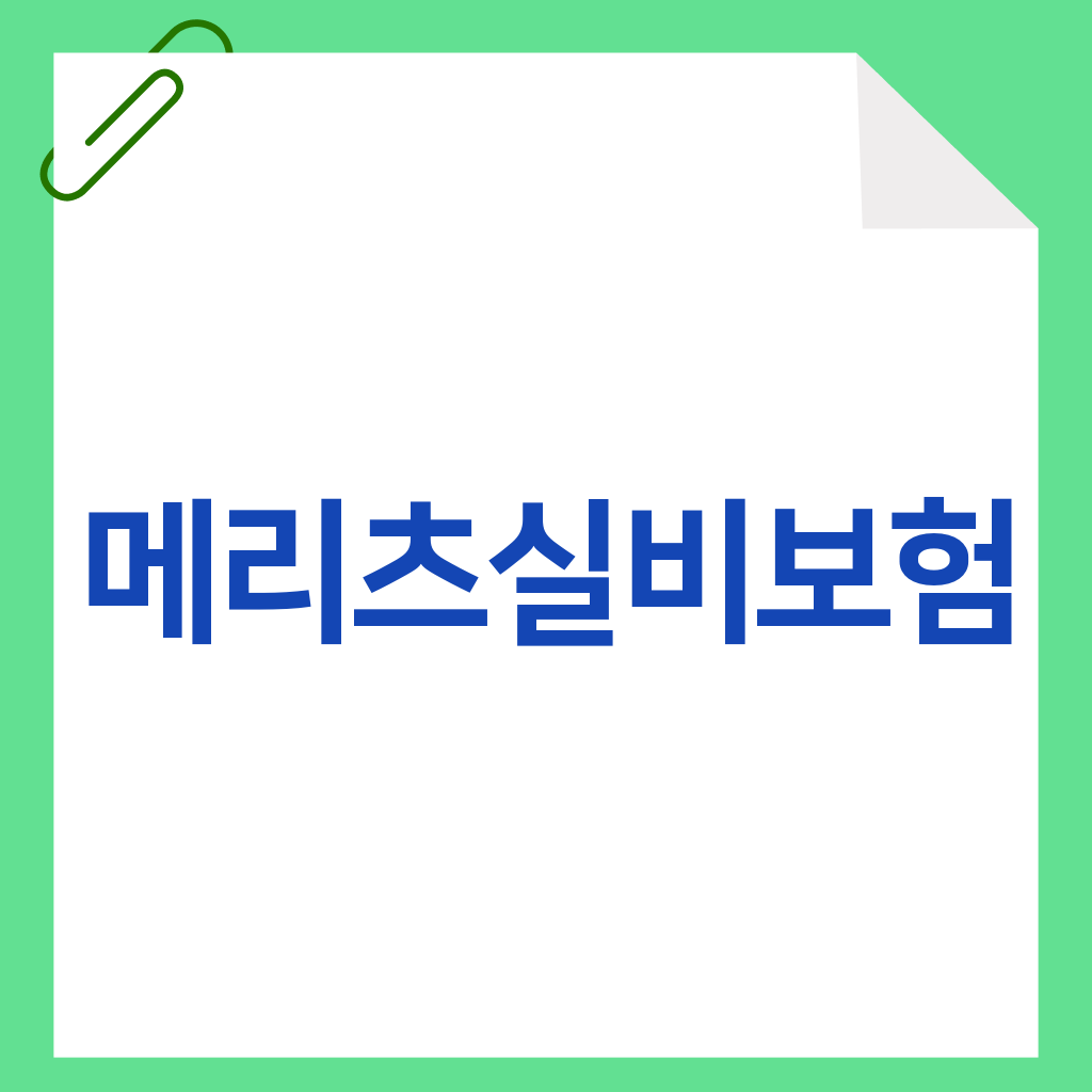 메리츠실비보험