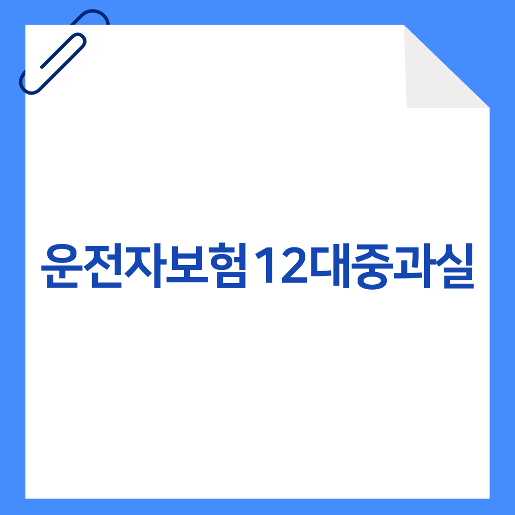 운전자보험12대중과실