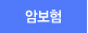 암보험